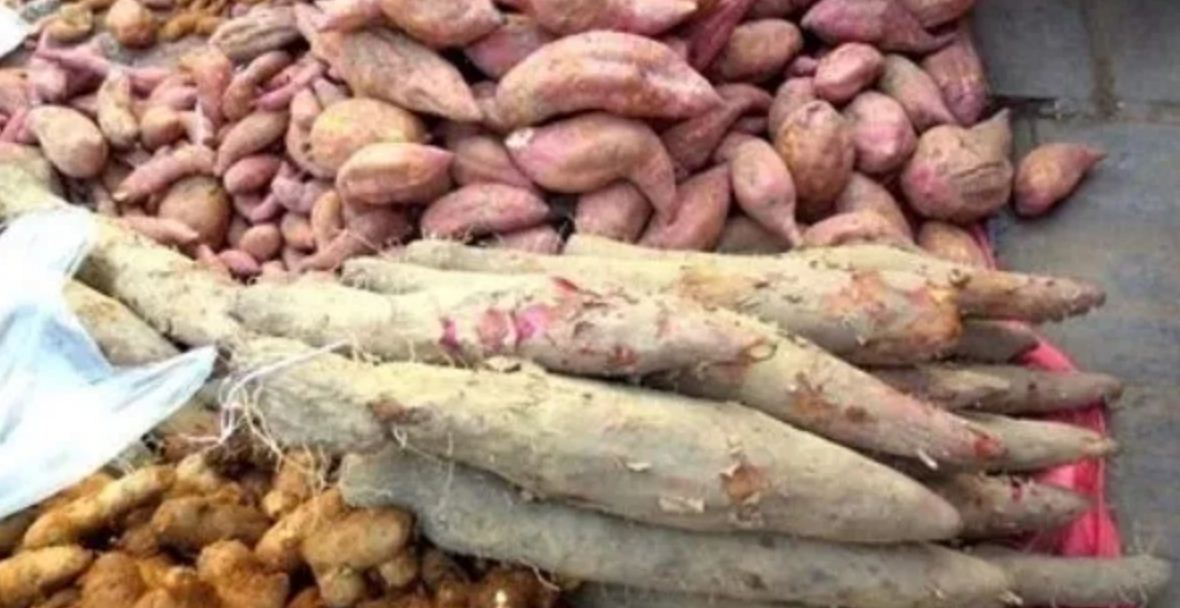 पुसे १५ पर्व मनाइँदै